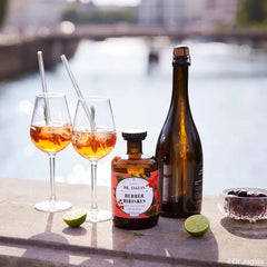 DR. JAGLAS Herber Hibiskus - alkoholfrei Dr. Jaglas