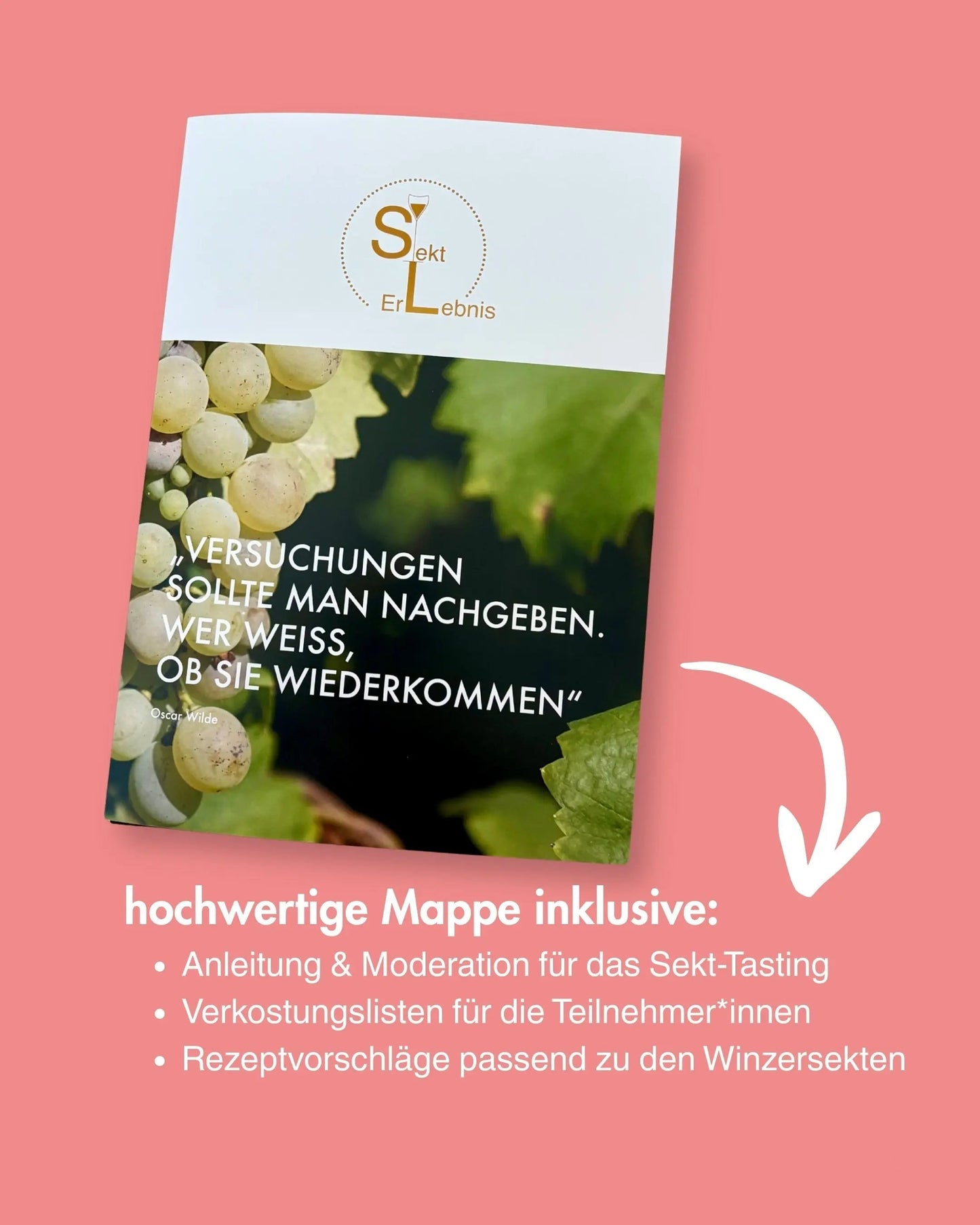 Sekt-Tasting für Zuhause - Die prickelnde Genussreise | Edition: Alkoholfrei Sekterlebnis